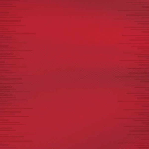 Portugal Soccer Flag iPhone XR Skin
